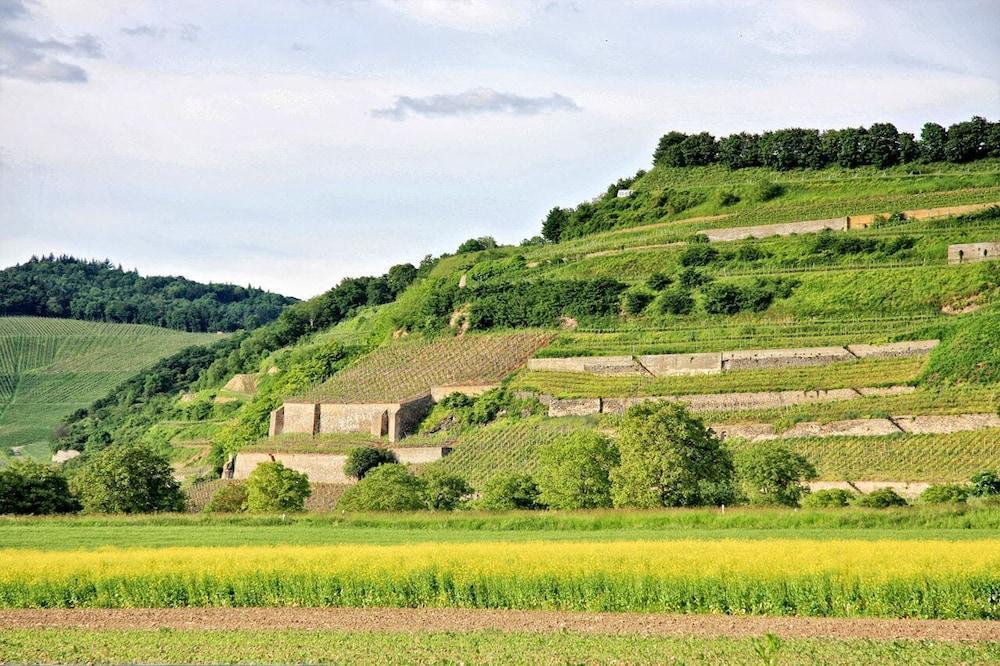 Hotel Winzerstube Иринген Экстерьер фото